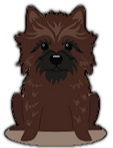 Cairn Terrier