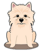 Cairn Terrier