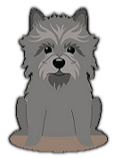 Cairn Terrier