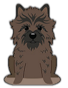 Cairn Terrier