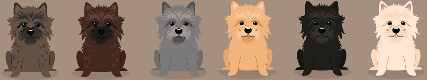 Cairn Terrier Logo